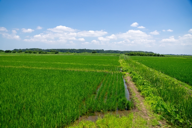 青地の農地転用がかなり厳しくなった